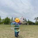 생태랑 놀아볼까 이미지