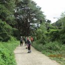 진중2리 이미지