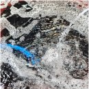 민물건강원 이미지