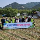 농협 해남군지부 앞 이미지