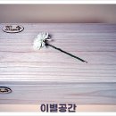 강아지본부 이미지