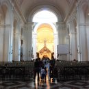 사랑이 머무는 둥지 이미지