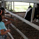 세심목장 이미지