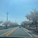 신진도드림 | 태안캠핑장 <캠핑드림캠핑> H사이트 방문 후기