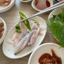 [파도한정식] 경남 사천 삼천포 맛집 | 반주 하기 좋은 생선구이 병어회 백반집 내돈내산 후기