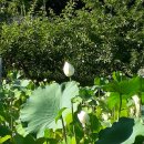 인연지 농장 이미지