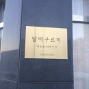 달떡구르미