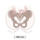 요실금 Urinary incontinence 이미지