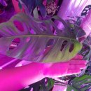 근형농장 이미지