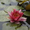 전의면사무소 이미지