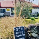 남원읍 공천포구 이미지