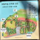 꽃보다옷봐(협) | 제주도 셀프 스냅 장소 추천 들판 꽃밭 숙소 인생샷 포토스팟 대만족 후기