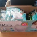 코스트코 온라인몰 마스크 도착 (가격/후기)