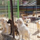 레인보우 메디칼 이미지