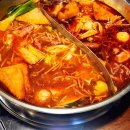 치토샌 | 2025년 낮 가림