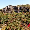 무등산버섯 이미지