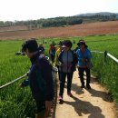 얼룩목장 이미지