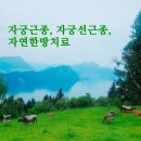 경희인수한의원 | 책상청소와 자궁근종
