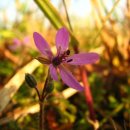 해보는집 이미지