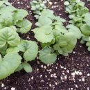 산림놀이 이미지