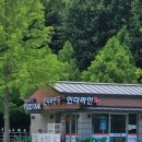 인더라인 25 이미지