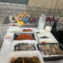 후정로,충선로 | 굴친자의 굴냄새 폴폴 12월 중간 기록