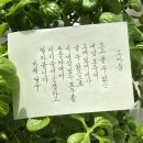 일우 이미지