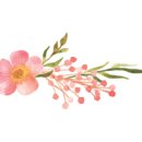 리시엘 살롱