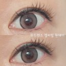 아이젠트리 동호점 | 젤리빔 원데이 구매는 각산역 안경 각산역 렌즈 아이젠트리 위드렌즈 대구 동호점 추천