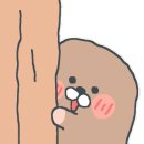 더포월배점 이미지