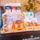 강아지천국 이미지