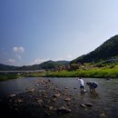 쁘띠 힐링 카라반 이미지