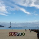 대형선망수산업협동조합 | 2024 부산 송도 고등어축제 첫날 후기 (10/25~27) 고등어회 없는 고등어축제 ...