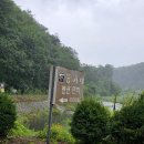 동가래별빛 - 5631 | 동가래별빛