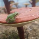 영지2농장 이미지