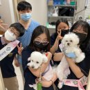 신탄진중학교 이미지