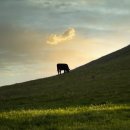 자경목장 이미지