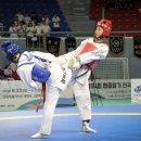 태백태권도 이미지