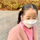 버디프랜드