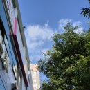 법무사 백강현 사무소 이미지