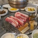 시키면돼지 이미지