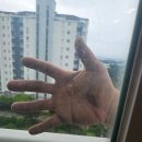 골드클래스세탁 | 서귀포입주청소 강정골드클래스 현장후기