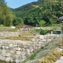 비학산자연휴양림 이미지