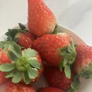 담도시락 강서점 | 섭섭이의 섭섭하지 않은 2026년1월 일상이야기_순대로 시작해서 순대로 끝내는 한달