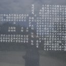 강릉김씨묘역 Daum카페