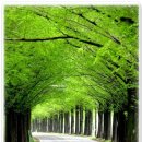 아우토반 이미지