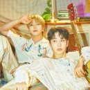 피씨에스(pcs) 이미지