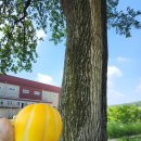 경기옛길 의주길 제3길 쌍미륵길 | 경기옛길 의주길 제3길 쌍미륵길(혜음원지-용미리 마애이불입상-윤관장균묘-신산5리)