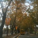 청주가로수길 이미지