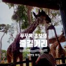 킹콩놀이샾 | 푸꾸옥자유여행 초보 즐길거리 모음